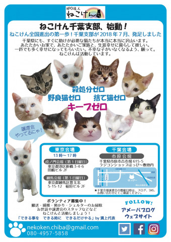 Npo法人ねこけん千葉支部 市原市譲渡会 事前予約不要 猫の譲渡会掲示板 ネコジルシ