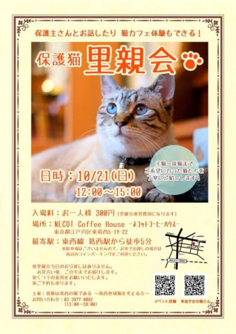 葛西駅保護猫カフェネコット里親会 猫の譲渡会掲示板 ネコジルシ