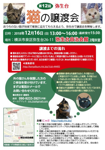 横浜市泉区でねこの譲渡会第12回 12月16日 日 猫の譲渡会掲示板 ネコジルシ