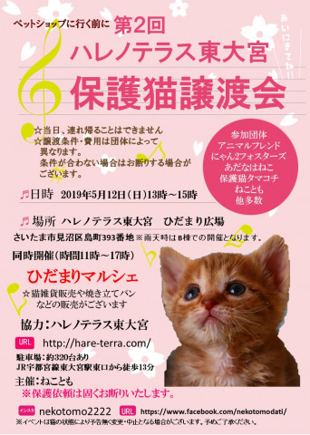 第2回 ハレノテラス東大宮 保護猫譲渡会 猫の譲渡会掲示板 ネコジルシ