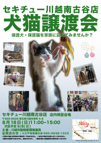 セキチュー川越南古谷店里親会 猫の譲渡会掲示板 ネコジルシ