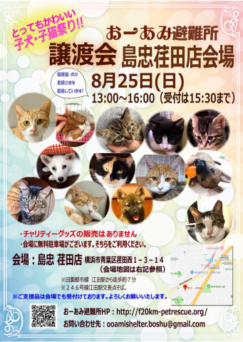 おーあみ避難所里親会in島忠 荏田店 猫の譲渡会掲示板 ネコジルシ