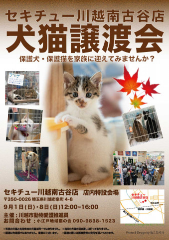 セキチュー川越南古谷店犬猫里親会 猫の譲渡会掲示板 ネコジルシ