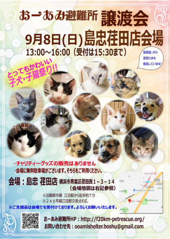 おーあみ避難所里親会in島忠 荏田店 猫の譲渡会掲示板 ネコジルシ