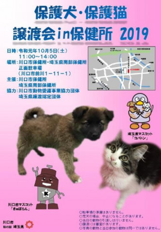 保護犬 保護猫譲渡会 ｉｎ 川口保健所 猫の譲渡会掲示板 ネコジルシ