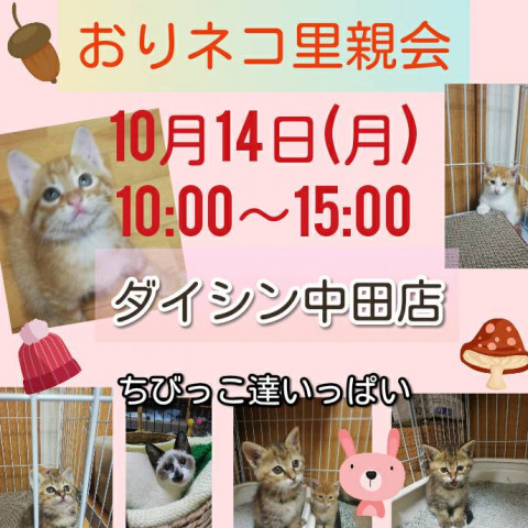 おりネコ里親会 猫の譲渡会掲示板 ネコジルシ