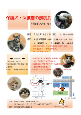 中止u203bu203b→保護犬☆保護猫譲渡会 ＩＮ 川越市保健所 - 猫の譲渡会掲示板 