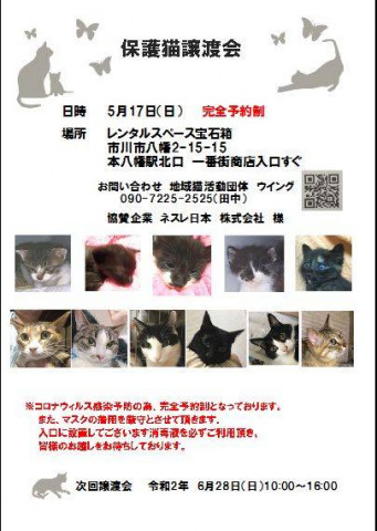 予約制❗️5/17(日)本八幡北口一番街入口  猫譲渡会