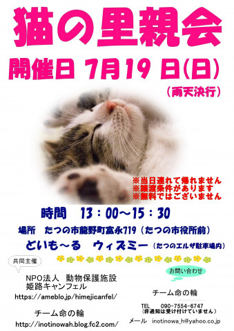 保護猫の里親会 猫の譲渡会掲示板 ネコジルシ