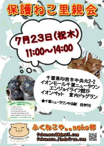 中止 千葉県印西市開催 ふくねこや 猫の譲渡会掲示板 ネコジルシ