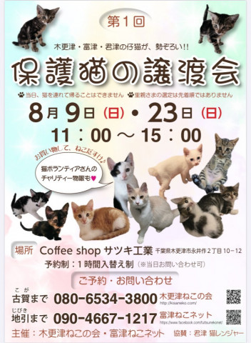 保護猫の譲渡会 猫の譲渡会掲示板 ネコジルシ