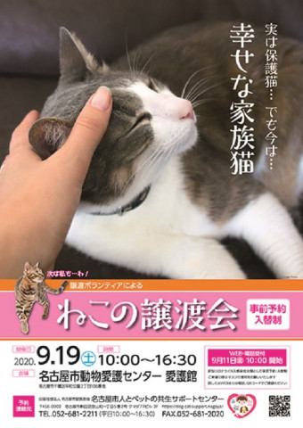 名古屋市動物愛護センター 譲渡ボランティアによる猫の譲渡会 猫の譲渡会掲示板 ネコジルシ
