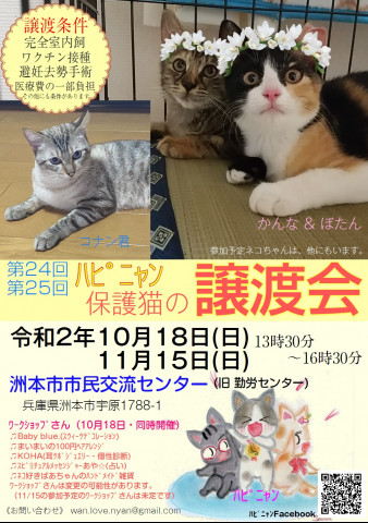 ハピニャン 猫の譲渡会(淡路島) - 猫の譲渡会掲示板 - ネコジルシ