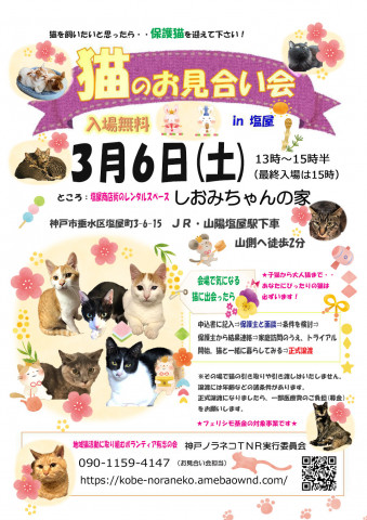 神戸市 塩屋 猫のお見合い会 猫の譲渡会掲示板 ネコジルシ