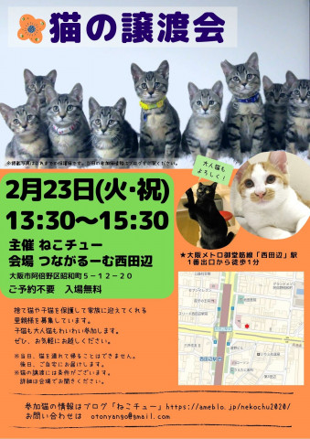 ねこチュー 猫の譲渡会 猫の譲渡会掲示板 ネコジルシ