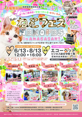 ねこフェスinあまがさき 6 13 ほごねこ譲渡会 パネル展 おかいもの 猫の譲渡会掲示板 ネコジルシ