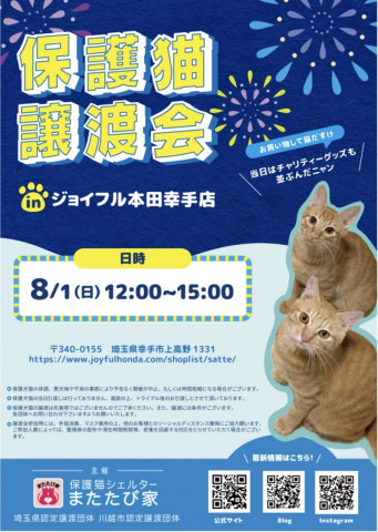 保護猫 譲渡会 In ジョイフル本田幸手店 猫の譲渡会掲示板 ネコジルシ