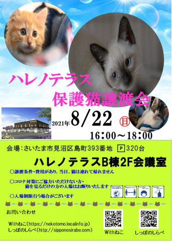 8/22 さいたま市 ハレノテラス保護猫譲渡会 - 猫の譲渡会掲示板 