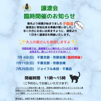 猫の譲渡会 里親会掲示板 ネコジルシ