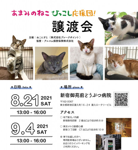 新宿開催 あまみのねこ引っ越し応援団 猫の譲渡会掲示板 ネコジルシ