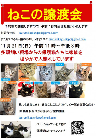 つるみ・猫のカギしっぽ譲渡会 - 猫の譲渡会掲示板 - ネコジルシ