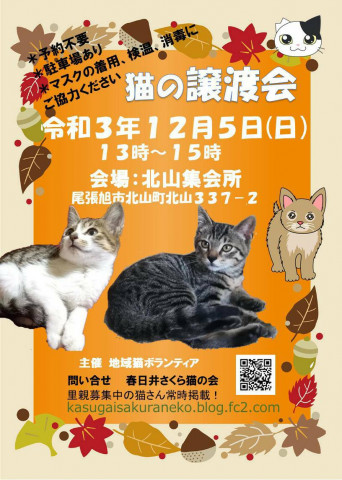 春日井さくら猫の会at 北山集会所 猫の譲渡会掲示板 ネコジルシ