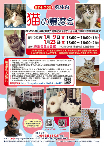 終了]〜横浜市泉区〜 猫の譲渡会@弥生台 - 猫の譲渡会掲示板