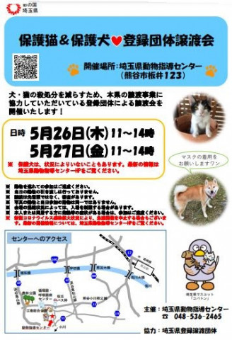 保護猫 保護犬 登録団体譲渡会in埼玉県動物指導センター本所 猫の譲渡会掲示板 ネコジルシ