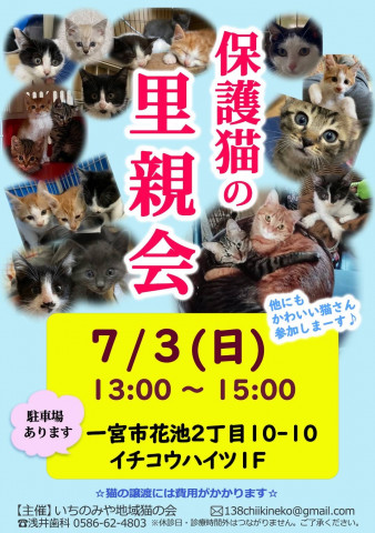 一宮市 保護猫の里親会 猫の譲渡会掲示板 ネコジルシ