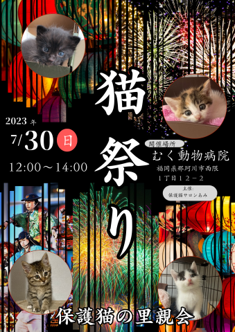 終了]子猫祭り - 猫の譲渡会掲示板