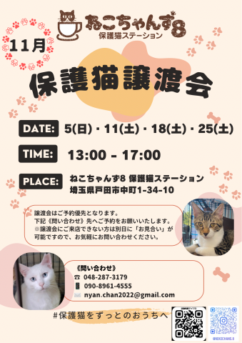 終了]ねこちゃんず8・譲渡会 - 猫の譲渡会掲示板