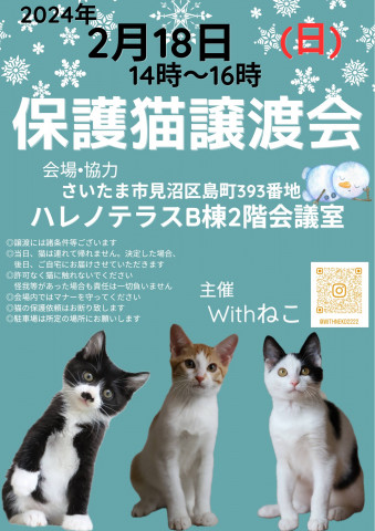 【さいたま市】2/18（日）ハレノテラス保護猫譲渡会