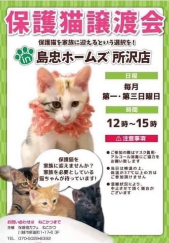 ねこかつ保護猫譲渡会@所沢