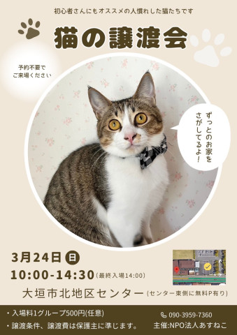 猫の譲渡会 - 猫の譲渡会掲示板