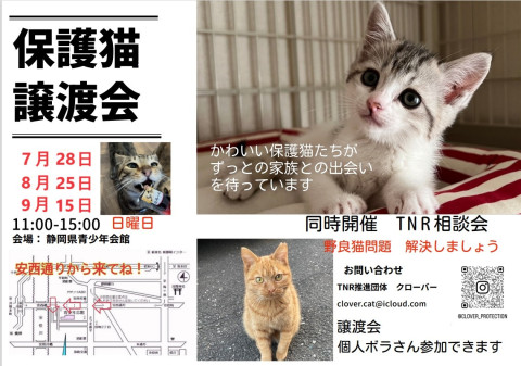 クローバー　保護猫譲渡会&TNR相談会 in静岡市葵区