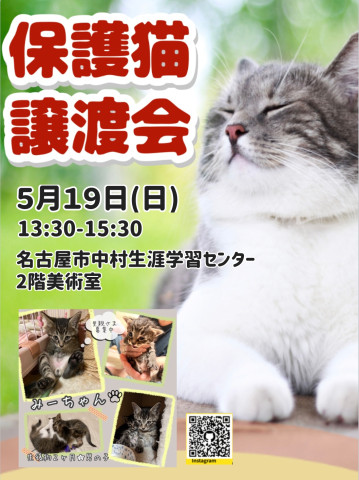中村生涯学習センター・猫の譲渡会