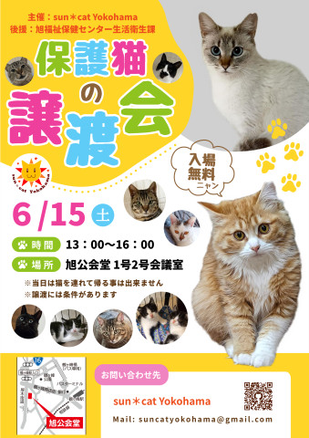 保護猫の譲渡会@sun＊cat Yokohama