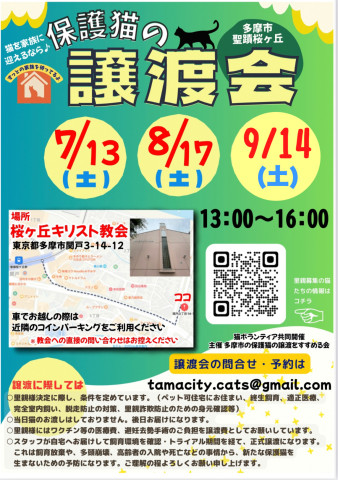 ◇保護猫の譲渡会◇in東京都多摩市聖蹟桜ヶ丘◇