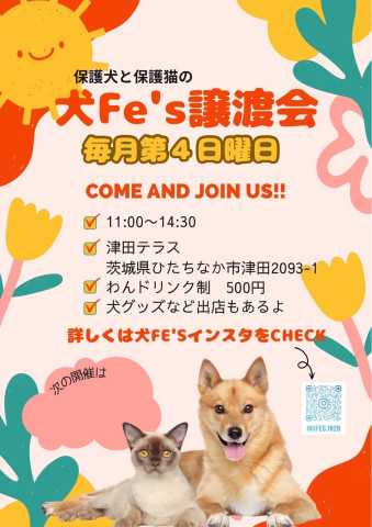 犬Fés 保護犬猫の譲渡会