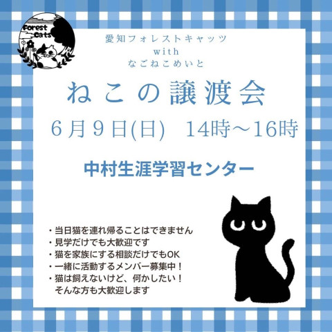 保護猫の譲渡会