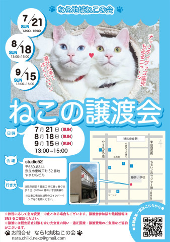 猫の譲渡会