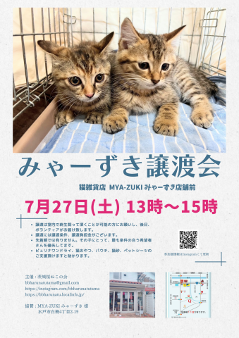 みゃーずき譲渡会 - 猫の譲渡会掲示板