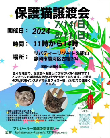 保護猫譲渡会in静岡市