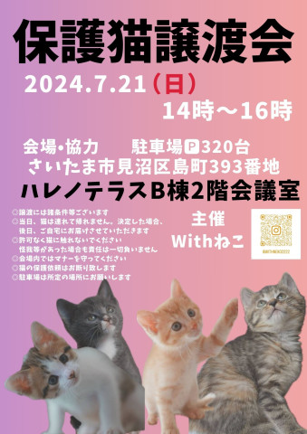 【さいたま市】子猫いっぱい7/21（日）ハレノテラス保護猫譲渡会