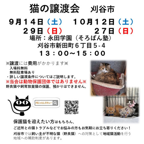 刈にゃんレスキュー　猫の譲渡会