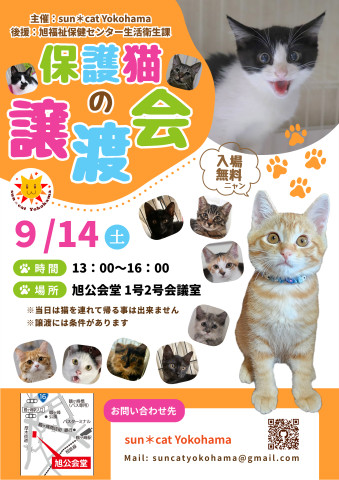 保護猫の譲渡会@sun＊cat Yokohama