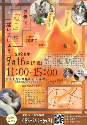 お寺で「ねこ」に逢いましょう～譲渡会 in 正善坊～