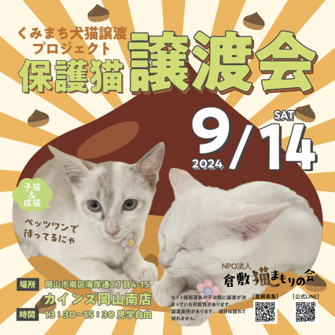 倉敷猫まも保護猫譲渡会（見学自由）