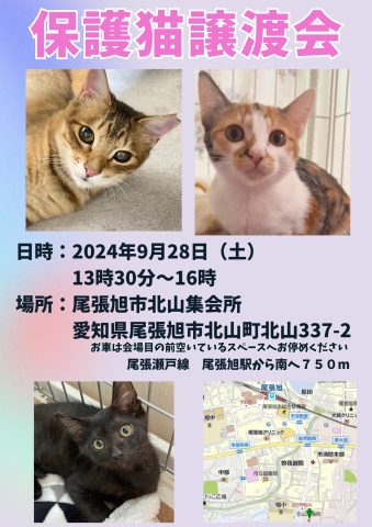 保護猫譲渡会