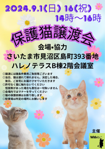 【さいたま市】9/16（祝)ハレノテラス保護猫譲渡会